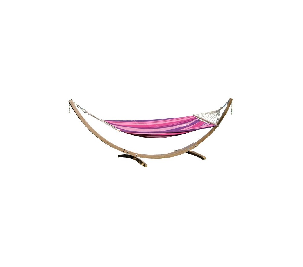10 x Fucsia la snowcap in posizione verticale grandi PIANTE SPINA PRE ORDINE